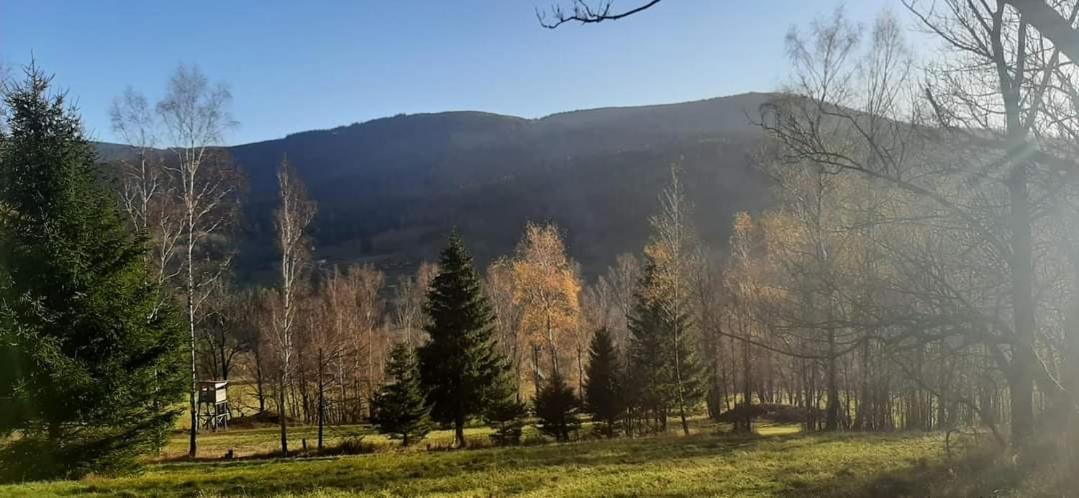Zakatek Pod Lipka Stary Gieraltow